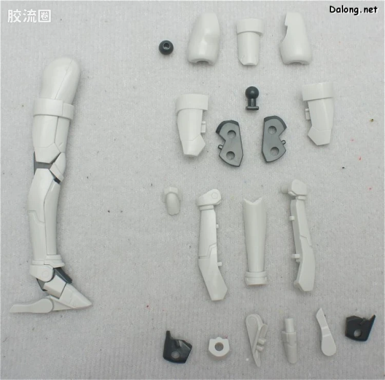 寿屋综合拼装模型系列 梦幻之星系列 蕾卡西尔 爱尔诺娅 - 图片